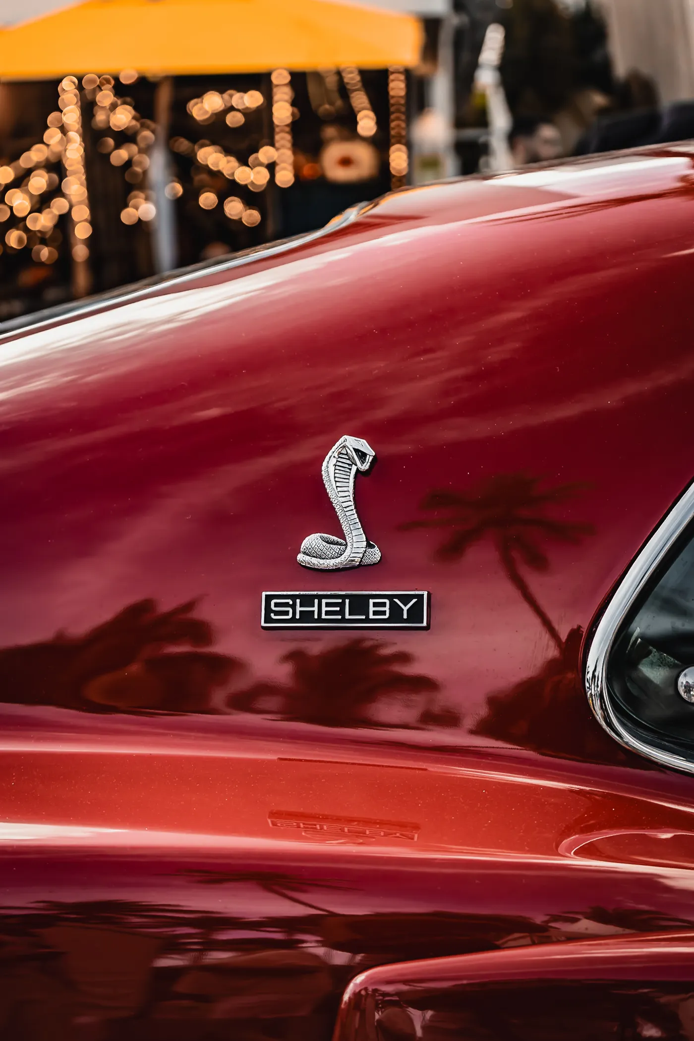 1969 Shelby GT500 — cobra emblem