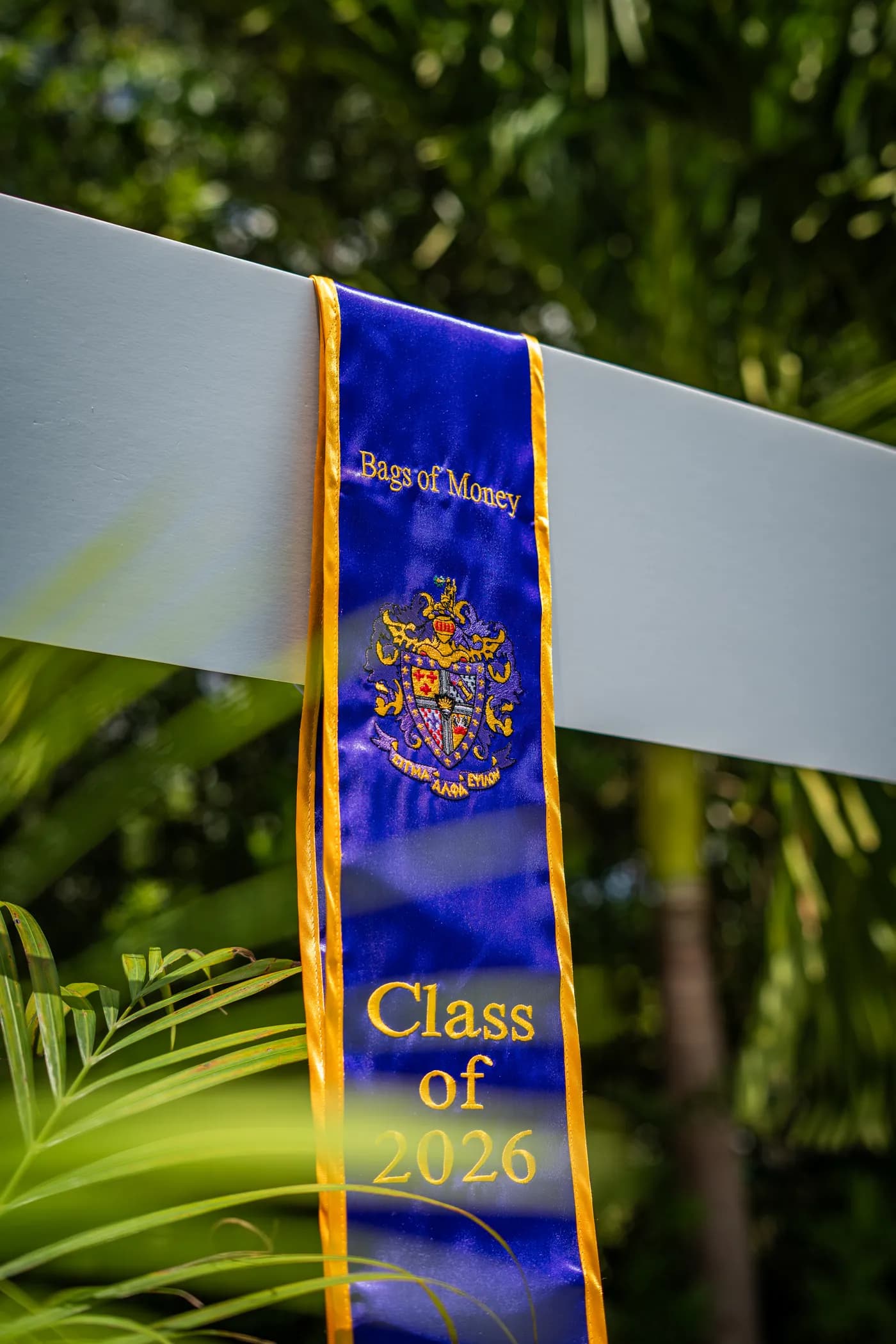 The stole staged against the palms