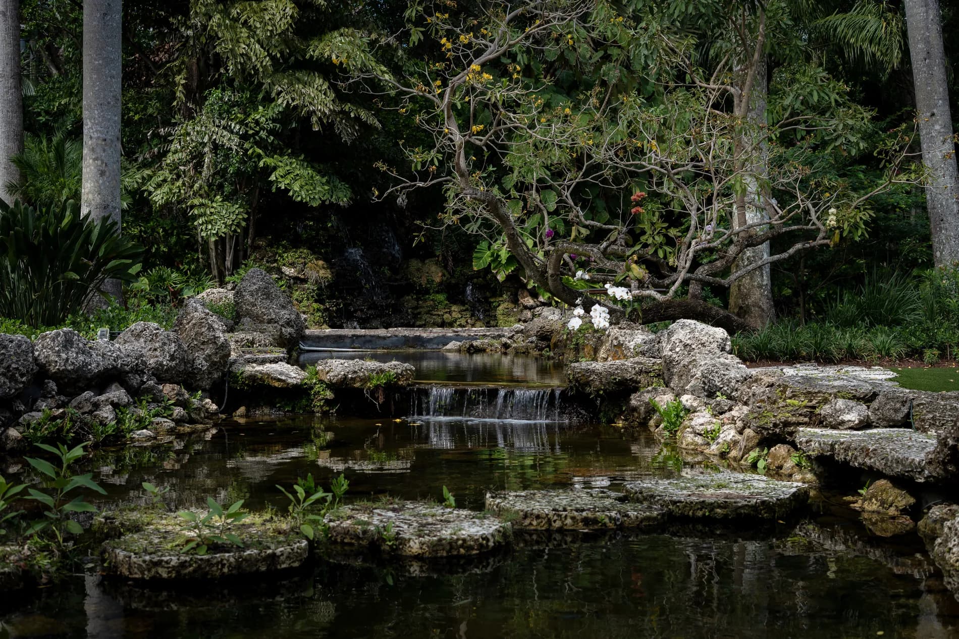 The garden and water feature on the approach