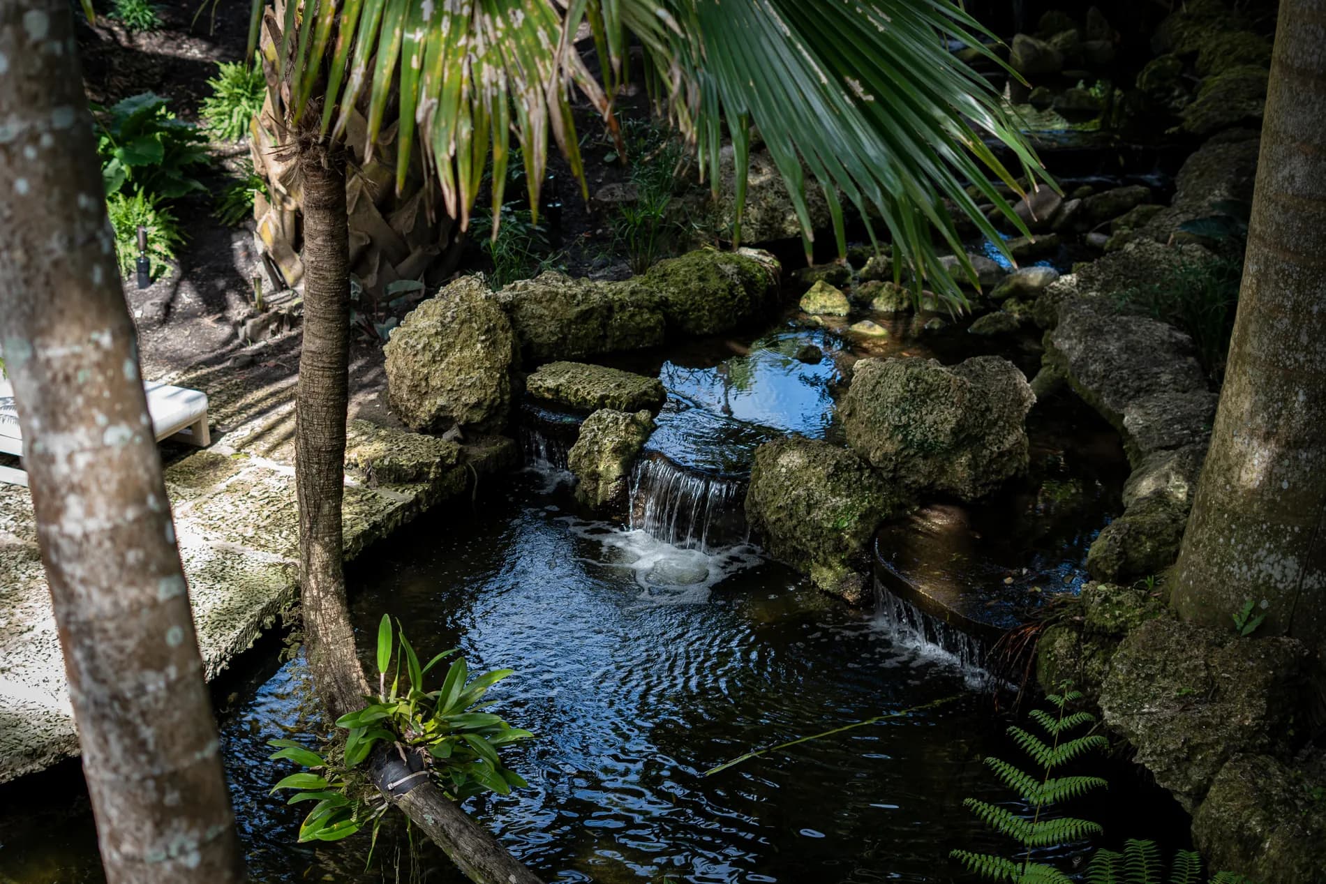 Tropical planting framing the entrance path