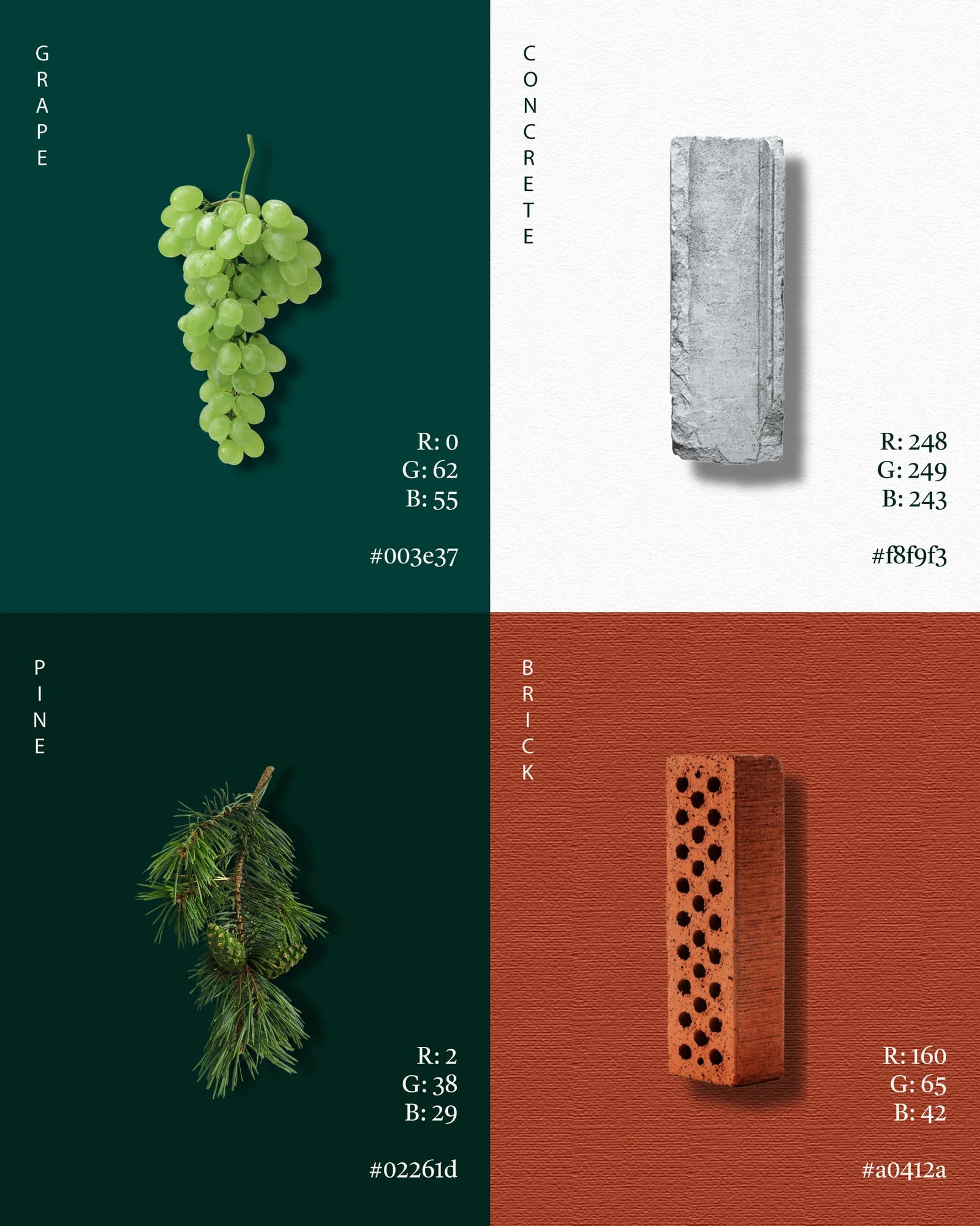 The Syrah colour palette: Grape, Concrete, Pine and Brick