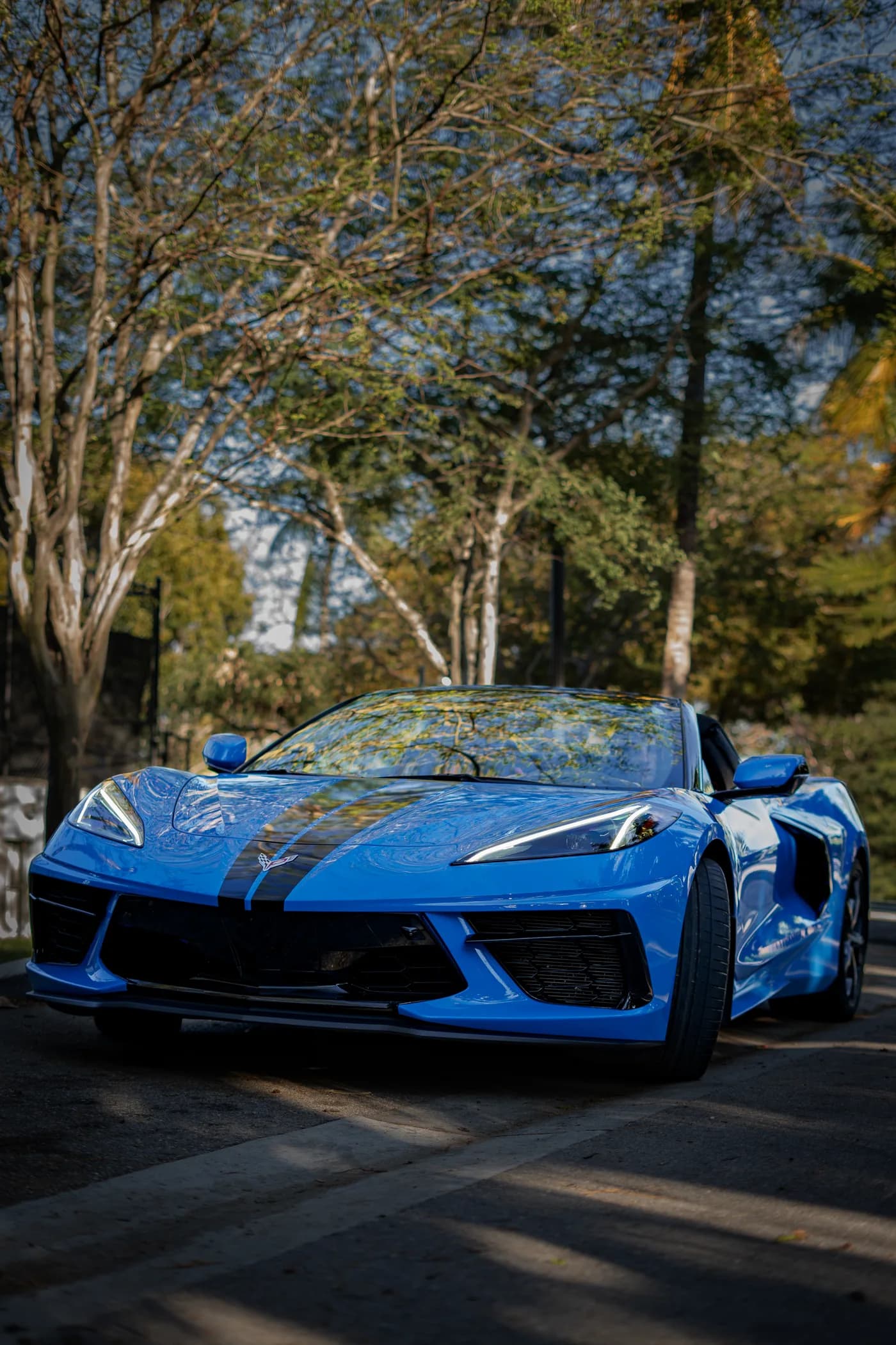 Corvette Stingray — front three-quarter on a tree-lined Miami street