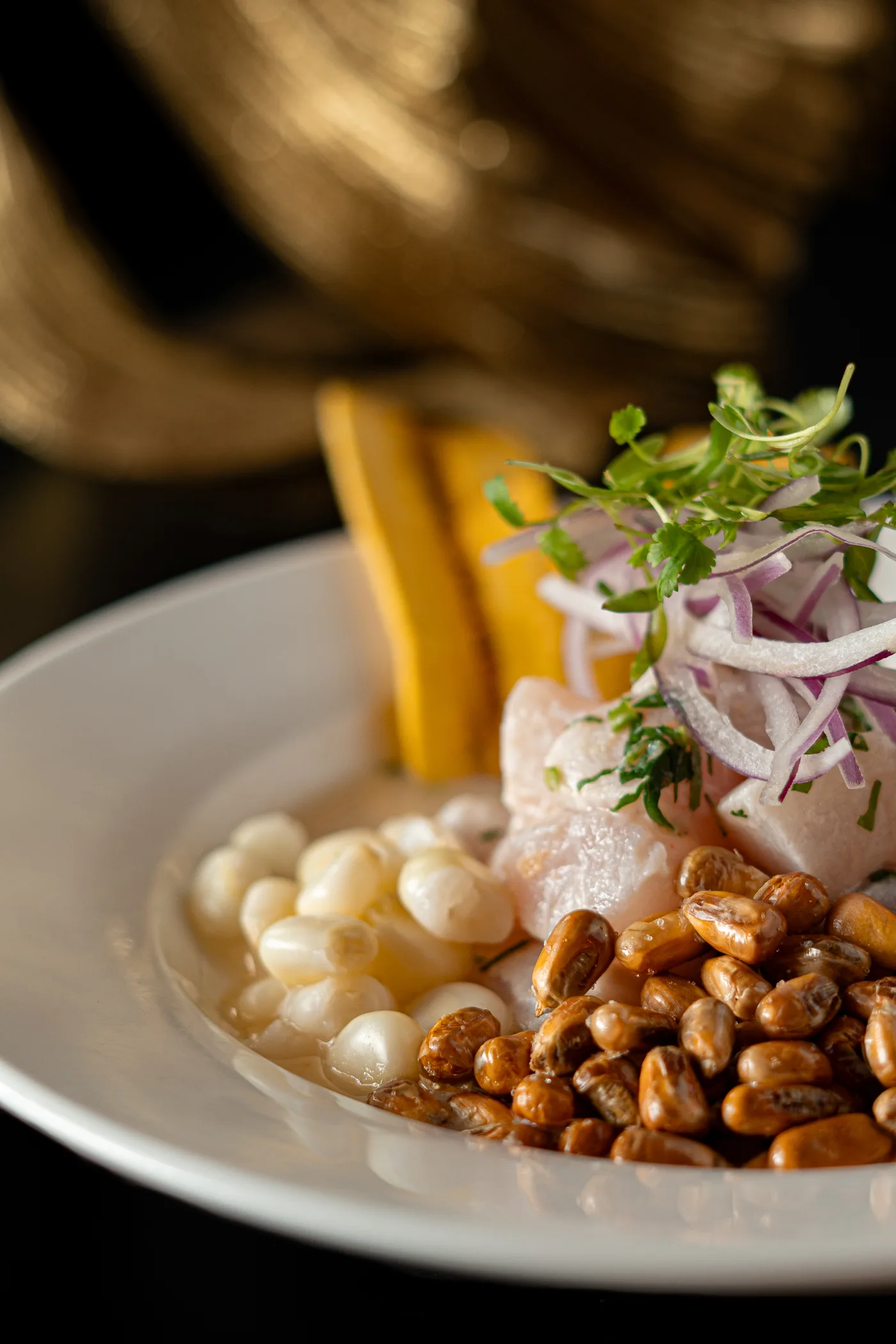 A plated seafood dish in close-up against a golden backdrop